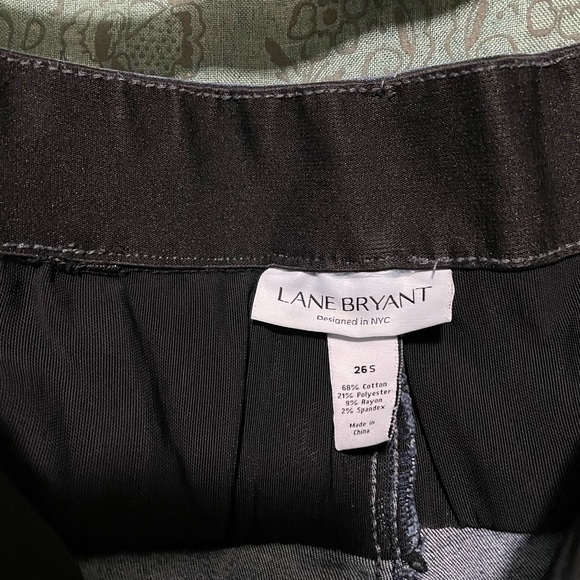 Lane Bryant Jeans 26s - Picture 4 of 5